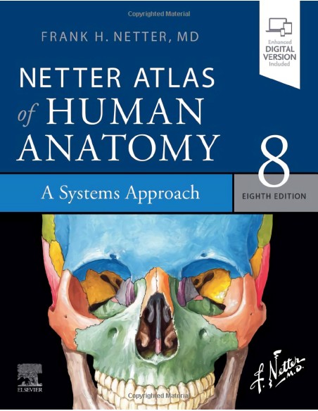 Netter atlas of human anatomy a systems approach