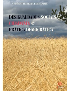 DESIGUALDADES SOCIAIS CIDADANIA E PRATICA DEMOCRATICA
