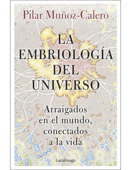 La embriologia del universo