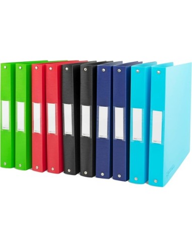 CARPETA RAPESCO PP A4 4 AN.35 SURT. - Pack de 10 unidades
