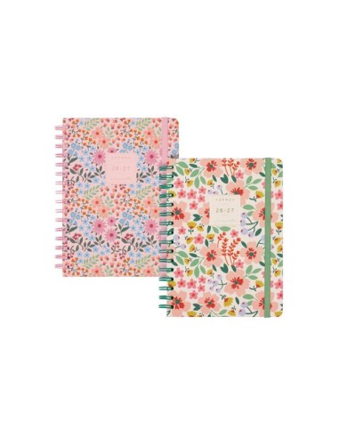 AG.ESC.F. TRENDY MONIQUILLA SURT. PACK 4
