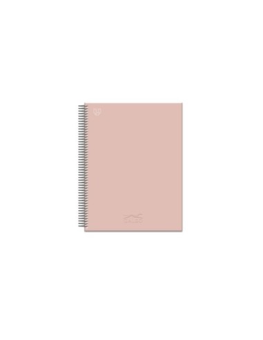 BLOC GALGO A4+ 80h 100g CD.5 ROSA - Pack de 5 unidades
