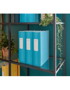 10380061 carpeta de cartón A4 Azul 2