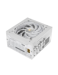 MPB750PSI unidad de fuente de alimentación 750 W 24-pin ATX ATX Blanco
