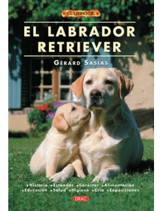 El labrador retriever