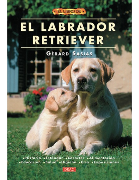 El labrador retriever
