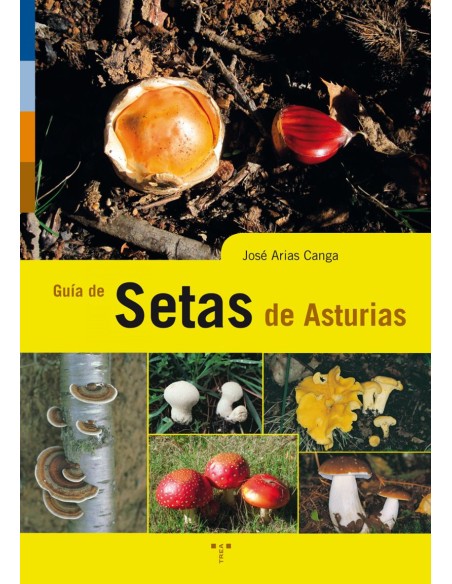 Guia de setas de Asturias