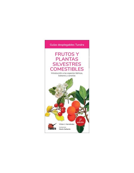 FRUTOS Y PLANTAS SILVESTRES COMESTIBLES 2 EDICION