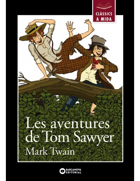 Les aventures de Tom Sawyer