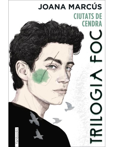 Trilogia Foc 2 Ciutats de cendra