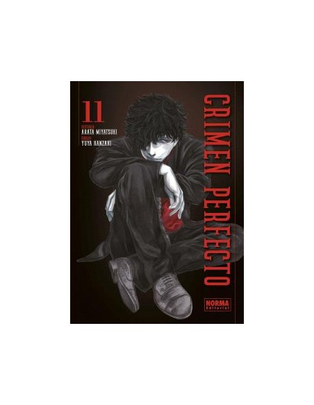 CRIMEN PERFECTO 11