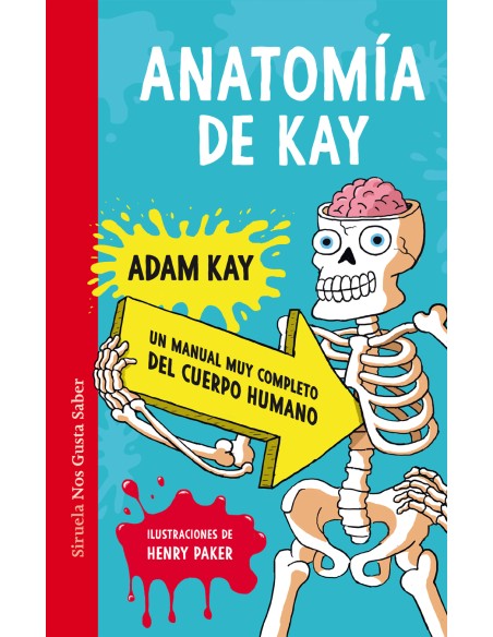 Anatomia de Kay