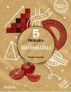 Matematicas 5