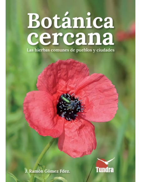 BOTANICA CERCANA LAS HIERBAS COMUNES DE LOS PUEBLOS Y CIUDADES