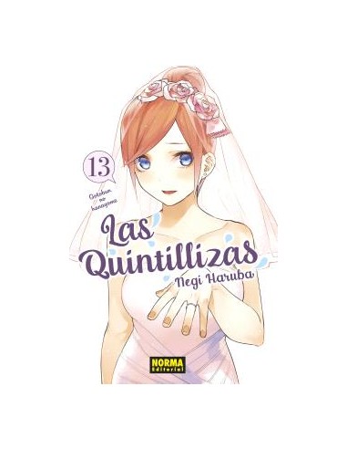 LAS QUINTILLIZAS 13