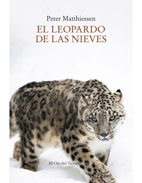 El leopardo de las nieves