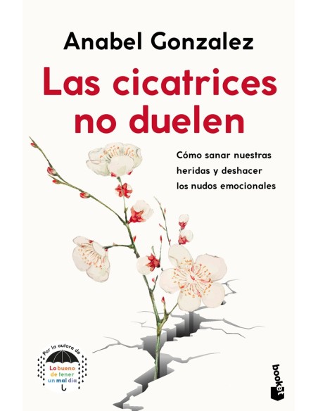 Las cicatrices no duelen Las cicatrices no duelen