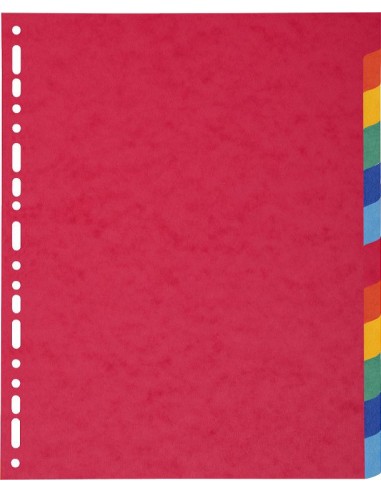 2412E divisor Multicolor