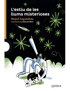 L estiu de les llums misterioses