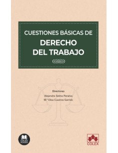 Cuestiones basicas de Derecho del trabajo