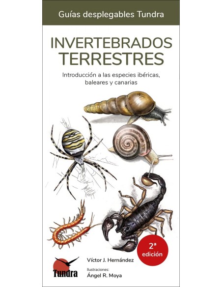 INVERTEBRADOS TERRESTRES GUIAS DESPLEGABLES TUNDRA
