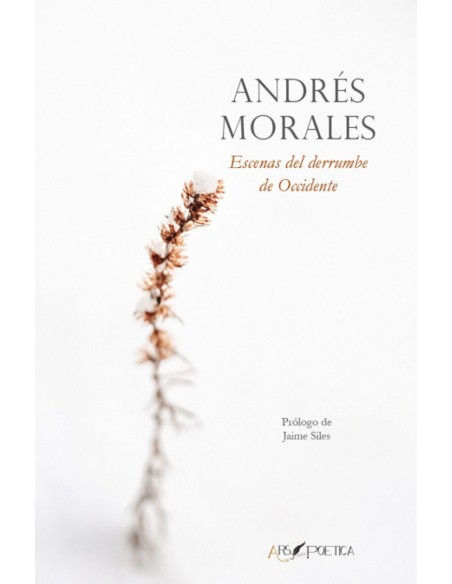 Escenas del derrumbe de Occidente