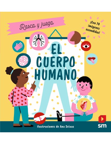 El cuerpo humano