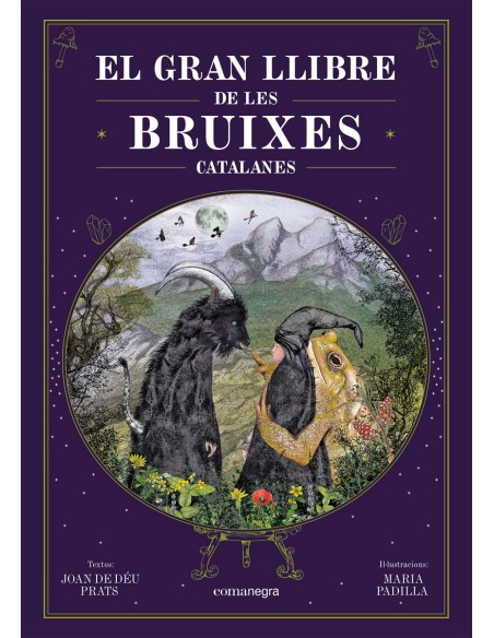 El gran llibre de les bruixes catalanes