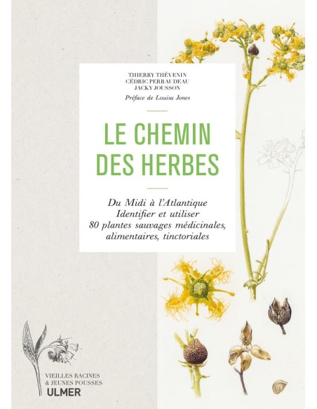 LE CHEMIN DES HERBES