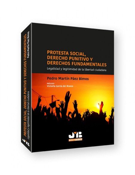 Protesta social Derecho punitivo y derechos fundamentales