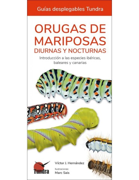 ORUGAS DE MARIPOSAS GUIAS DESPLEGABLES TUNDRA