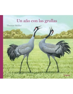 Un ano con las grullas