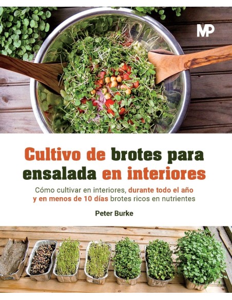 Cultivo de brotes para ensalada en interiores