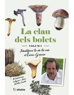 LA CLAU DELS BOLETS