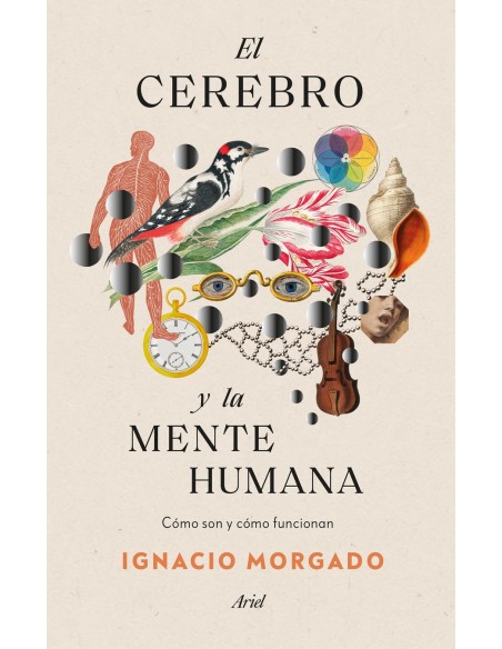 El cerebro y la mente humana