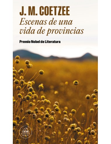 Escenas de una vida de provincias