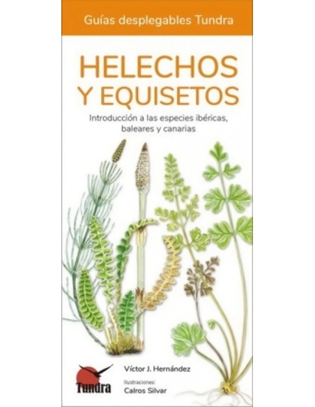 HELECHOS EQUISETOS Y LICOPODIOS GUIAS DESPLEGABLES TUNDRA