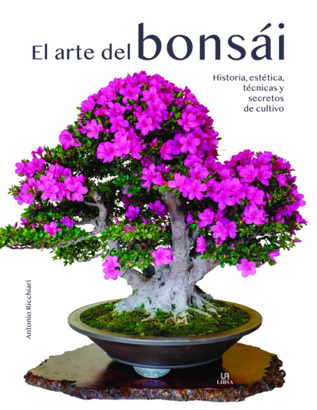 El Arte del Bonsai