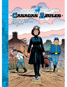 CASACAS AZULES 2008 2010