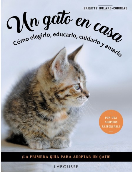 Un gato en casa