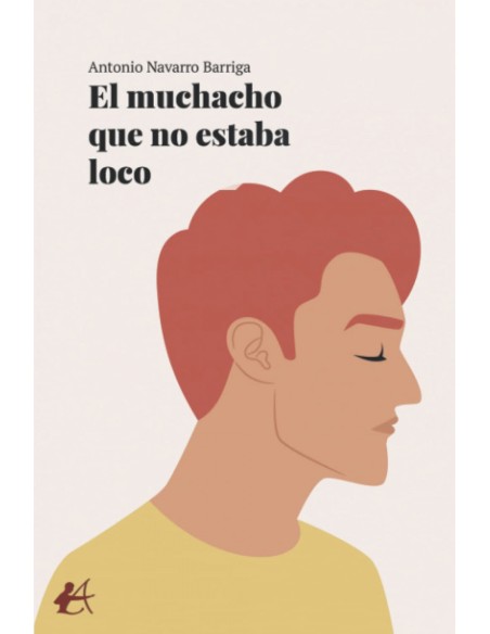 EL MUCHACHO QUE NO ESTABA LOCO