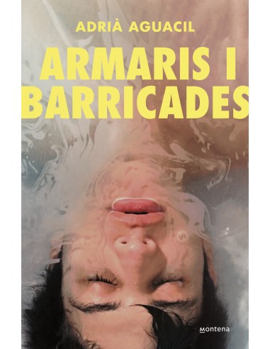 Armaris i barricades