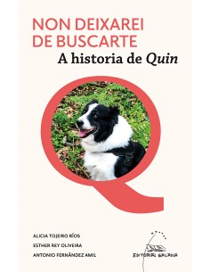 Non deixarei de buscarte A historia de Quin