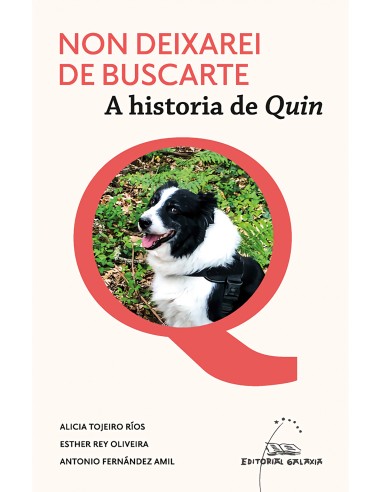 Non deixarei de buscarte A historia de Quin