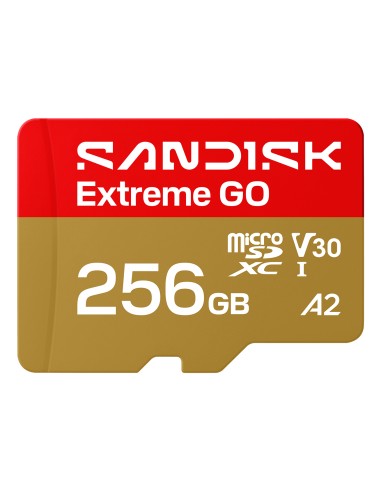 Extreme GO 256 GB MicroSDXC UHS-I