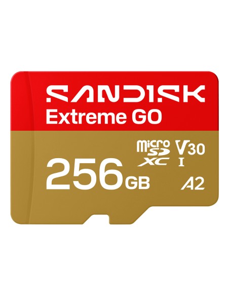 Extreme GO 256 GB MicroSDXC UHS-I