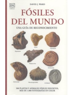 FOSILES DEL MUNDO