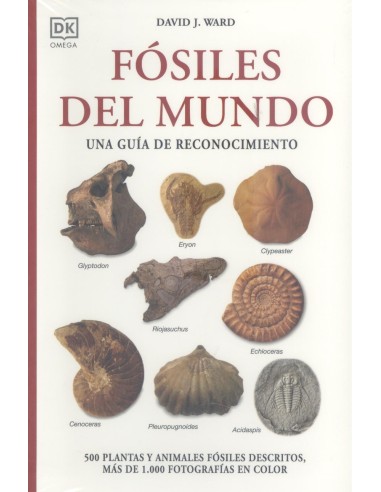 FOSILES DEL MUNDO