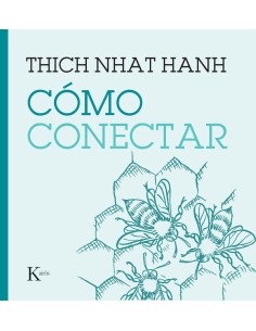 Como conectar