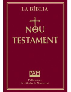Nou Testament